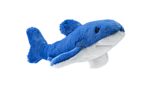 Baby Bruce Shark