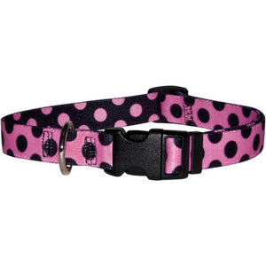 pink polka dot dog collar