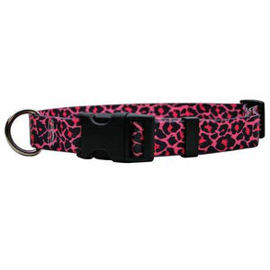 pink leopard print collar